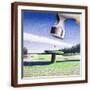 Brown Frame