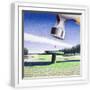 White Frame