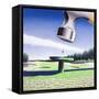 Canvas Black