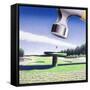 Canvas Black