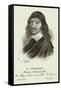 Rene Descartes, French Mathematician-null-Framed Stretched Canvas
