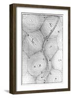 Rene Descartes Model of the Structure of the Universe, 1668-null-Framed Giclee Print