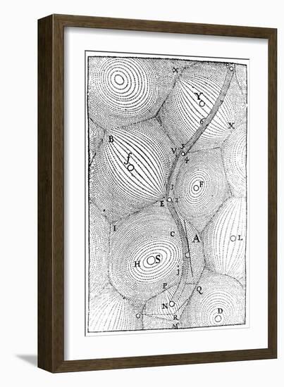 Rene Descartes Model of the Structure of the Universe, 1668-null-Framed Giclee Print