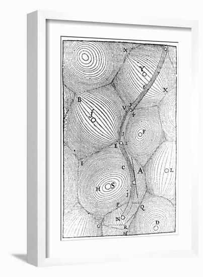 Rene Descartes Model of the Structure of the Universe, 1668-null-Framed Giclee Print