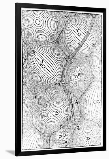 Rene Descartes Model of the Structure of the Universe, 1668-null-Framed Giclee Print