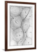 Rene Descartes Model of the Structure of the Universe, 1668-null-Framed Giclee Print