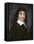 Rene Descartes-null-Framed Stretched Canvas