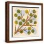 Brown Frame