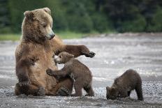 Family Time-Renee Doyle-Stretched Canvas