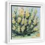 White Frame