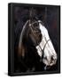 Essential Black