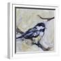 White Frame