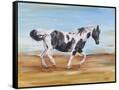 Canvas Black