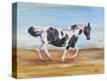 Stretched Canvas
