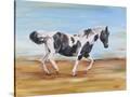 Stretched Canvas