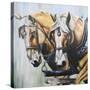 Stretched Canvas
