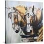 Stretched Canvas