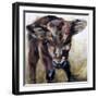 Black Frame