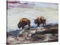 Stretched Canvas