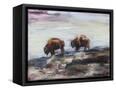 Canvas Black