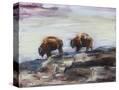 Stretched Canvas