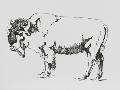 Just the Print