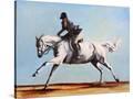 Stretched Canvas