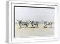White Frame