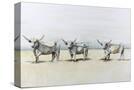 Stretched Canvas