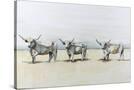 Stretched Canvas
