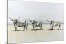 Stretched Canvas