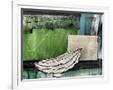 Gramercy White