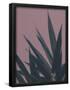 Essential Black