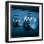 Black Frame