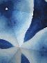 Just the Print