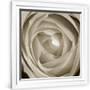 Gramercy White