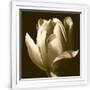 Gramercy White