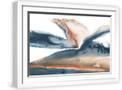 White Frame