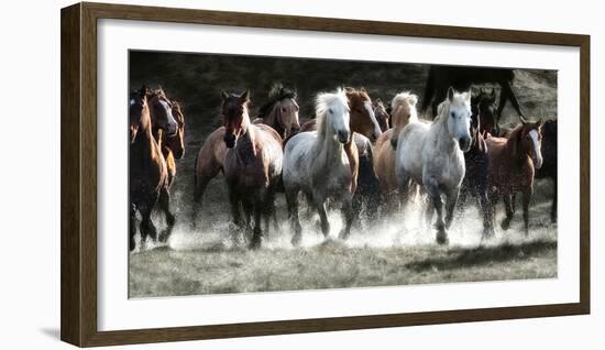 Renegades-Lisa Dearing-Framed Photographic Print