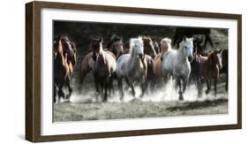 Renegades-Lisa Dearing-Framed Photographic Print