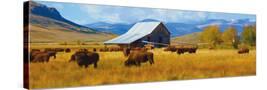Stretched Canvas