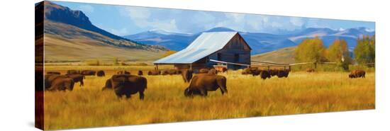 Stretched Canvas Print, , large