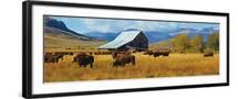 Black Frame