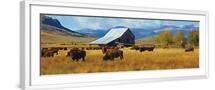 White Frame
