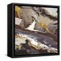 Canvas Black