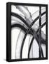 Essential Black