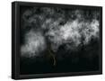 Essential Black