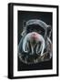 Black Frame