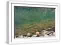 White Frame