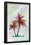 Essential Black